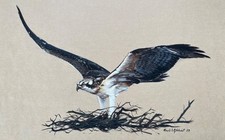 David S Gilchrist (Scottish b